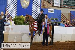 13r12_1576 proof