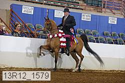 13r12_1579 proof