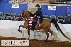 13r12_1581 proof