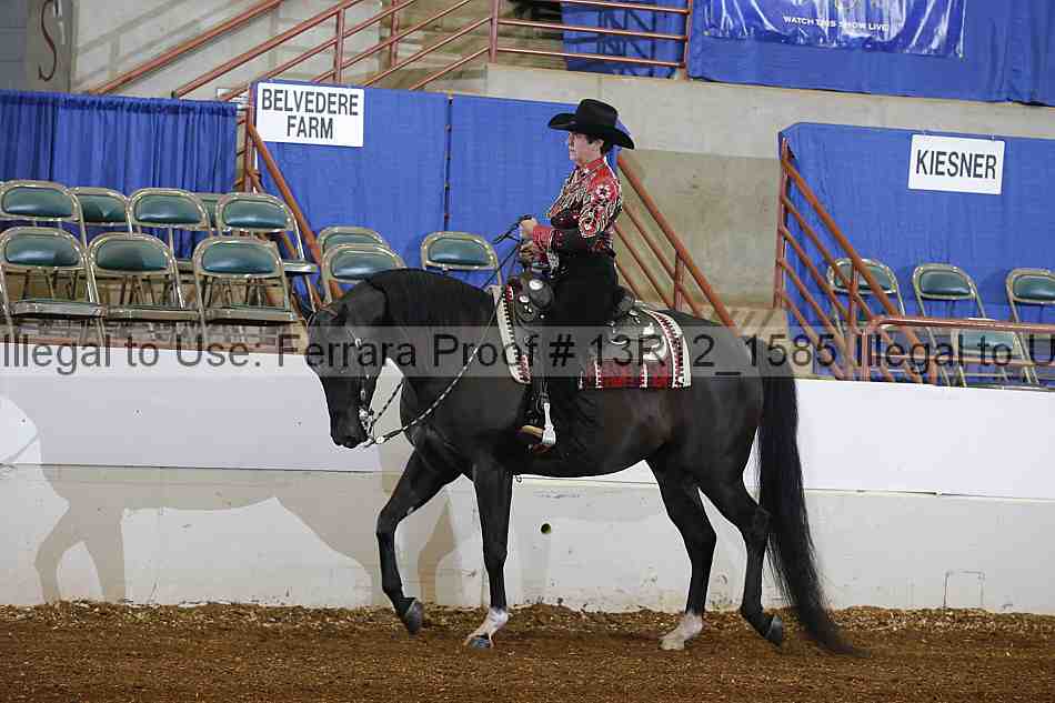 Proof 13r12_1585