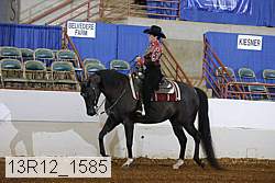13r12_1585 proof