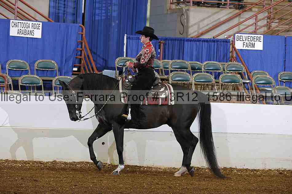 Proof 13r12_1586