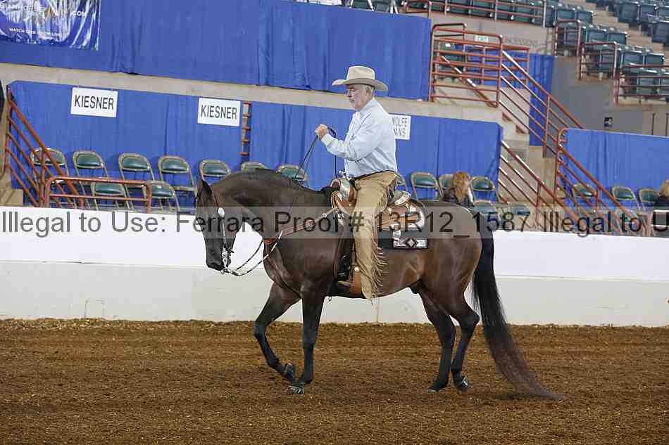 Proof 13r12_1587