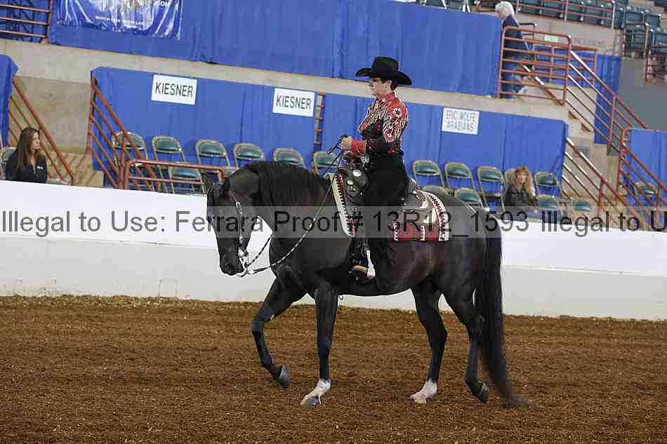 Proof 13r12_1593