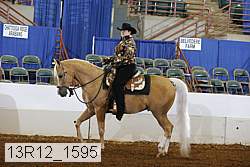 13r12_1595 proof