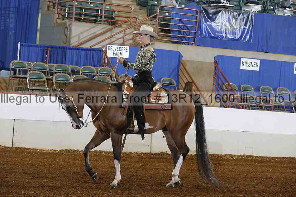 Proof 13r12_1600