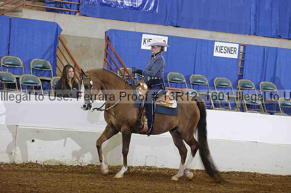 Proof 13r12_1601