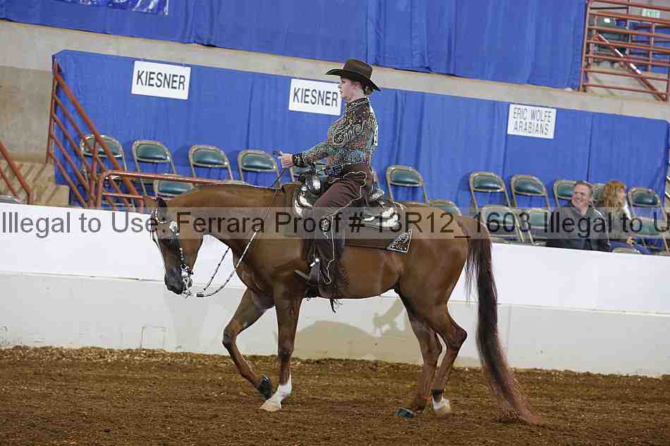 Proof 13r12_1603
