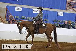 13r12_1603 proof