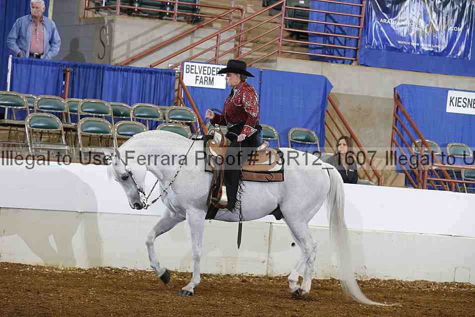 Proof 13r12_1607