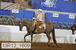 13r12_1609 proof