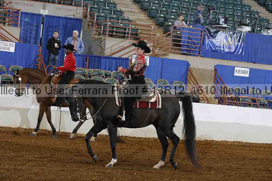 Proof 13r12_1610