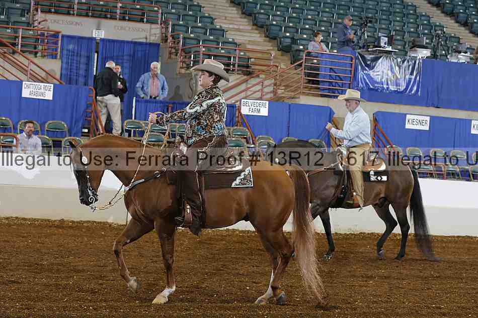 Proof 13r12_1617