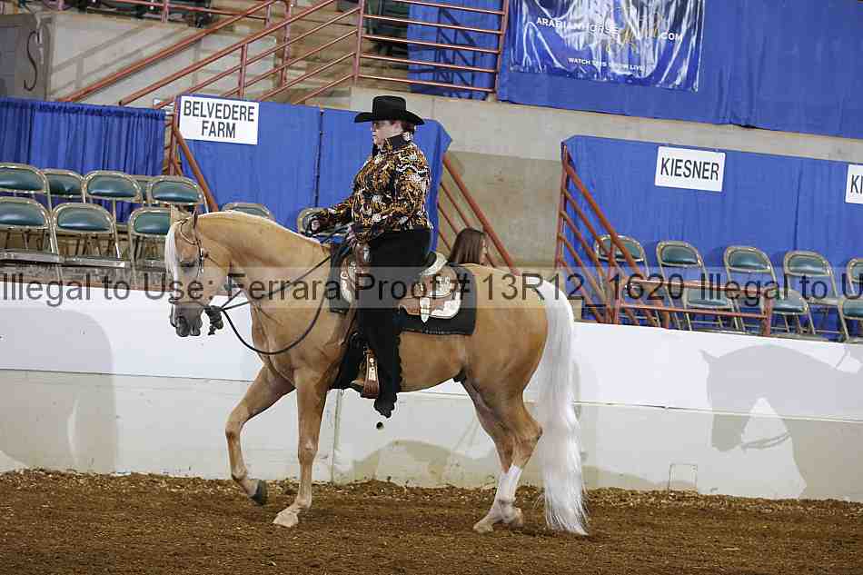 Proof 13r12_1620