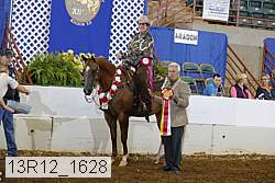 13r12_1628 proof