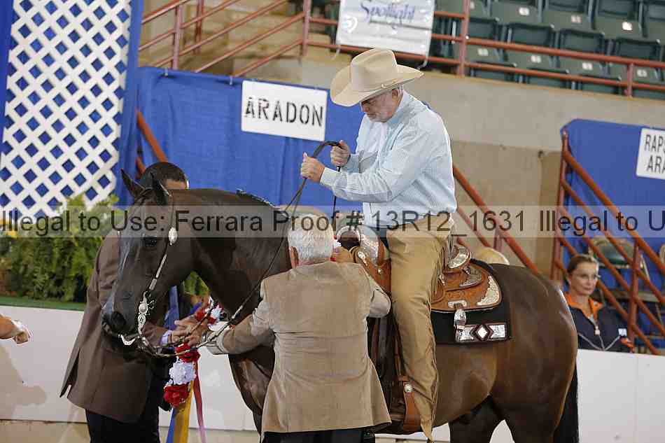 Proof 13r12_1631