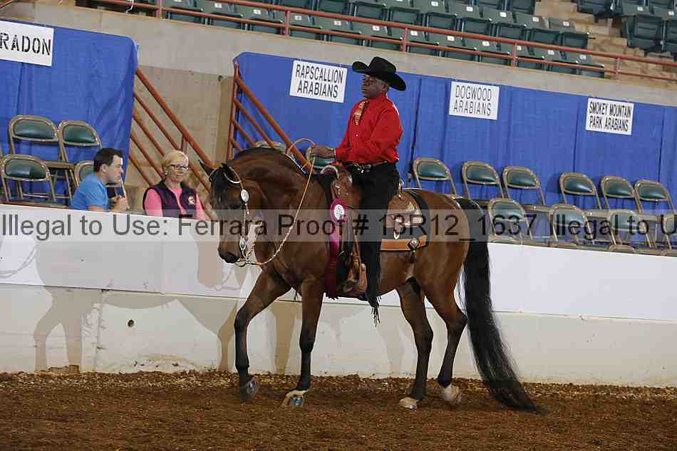 Proof 13r12_1637