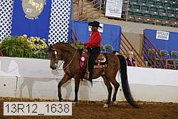 13r12_1638 proof