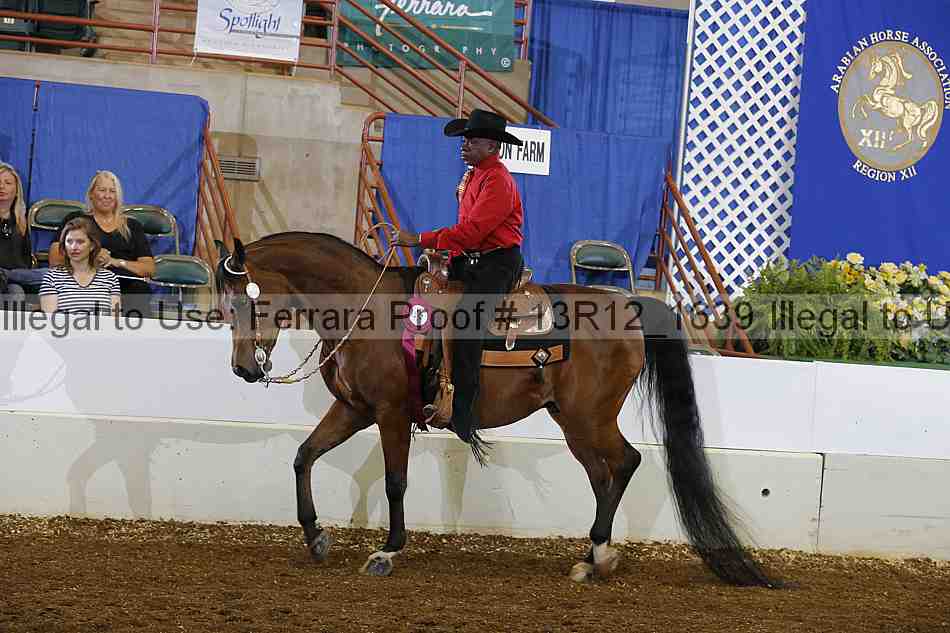 Proof 13r12_1639