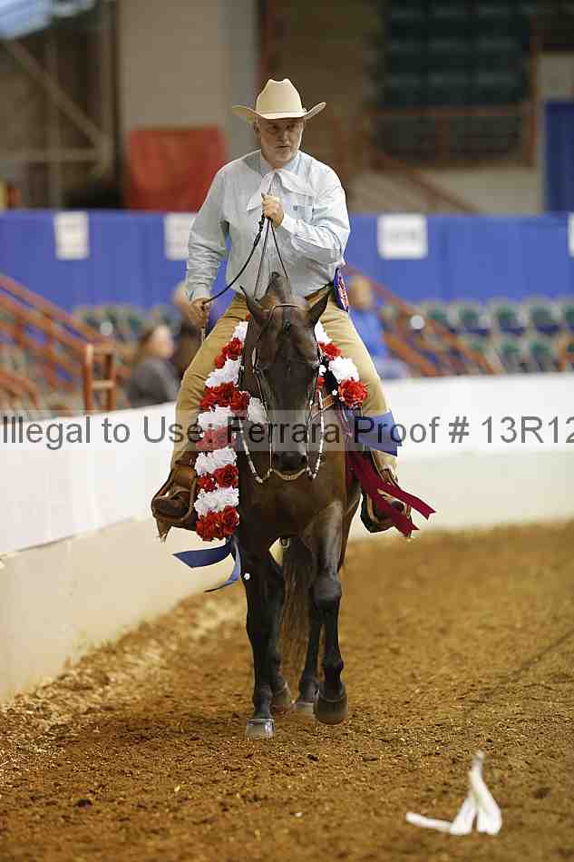 Proof 13r12_1653