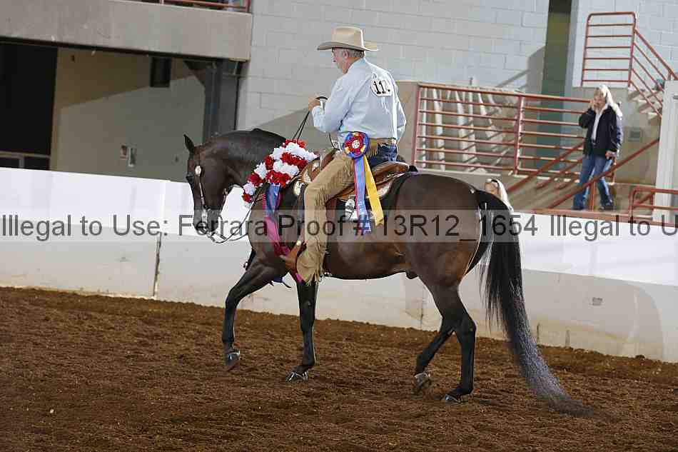 Proof 13r12_1654