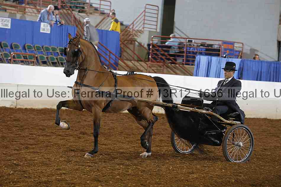 Proof 13r12_1656