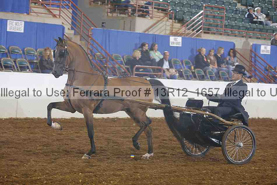 Proof 13r12_1657