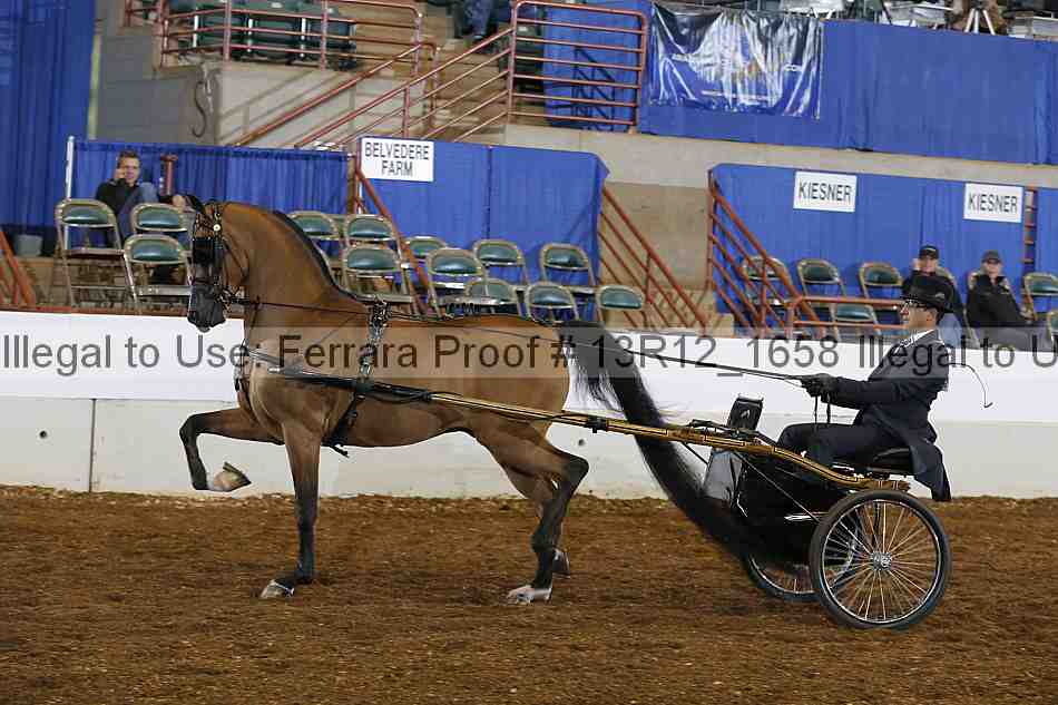 Proof 13r12_1658