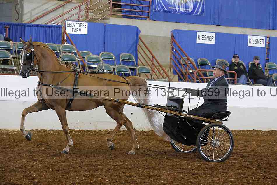 Proof 13r12_1659