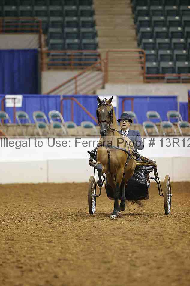 Proof 13r12_1661
