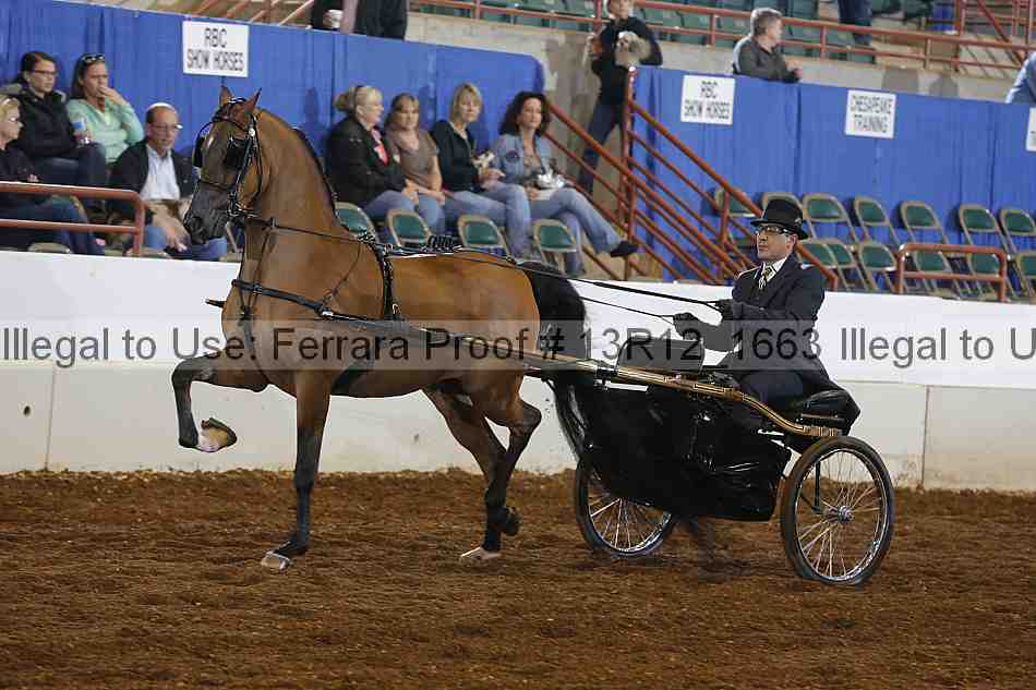 Proof 13r12_1663