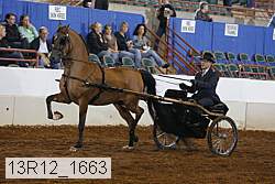 13r12_1663 proof