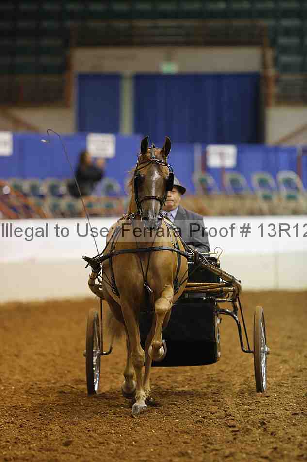 Proof 13r12_1664