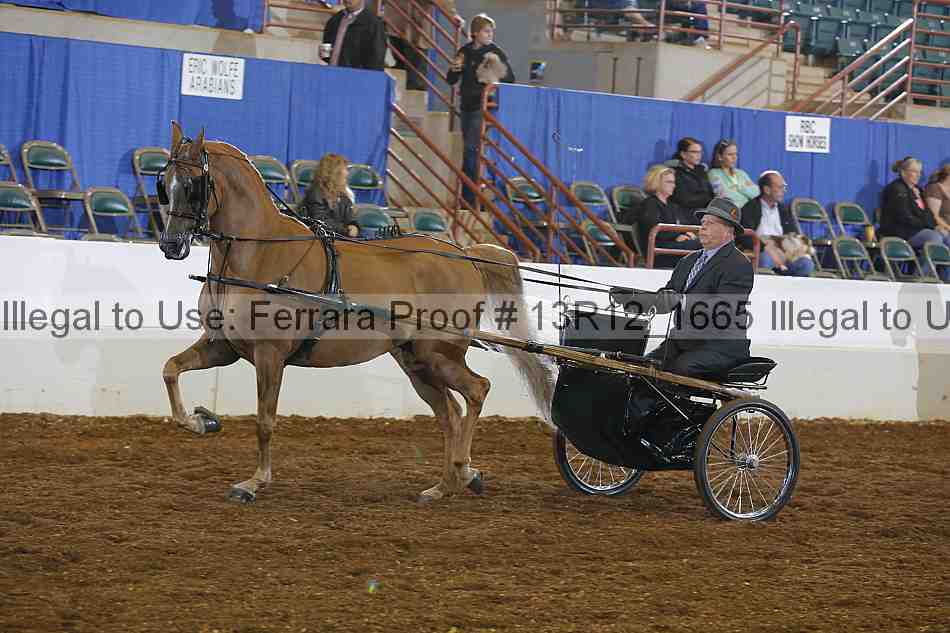 Proof 13r12_1665