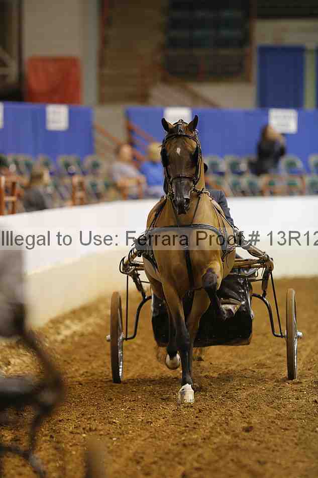 Proof 13r12_1673