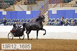 13r12_1685 proof