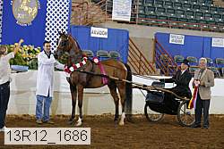 13r12_1686 proof