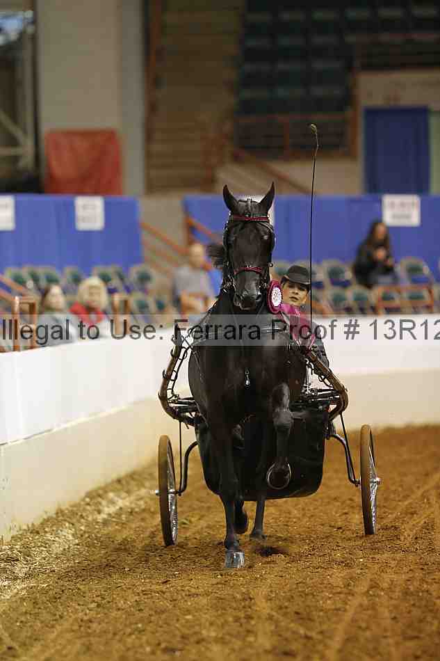 Proof 13r12_1698