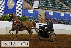 13r12_1700 proof