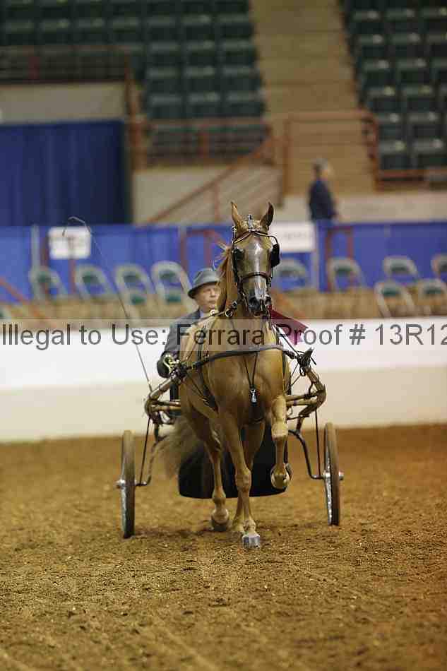 Proof 13r12_1701