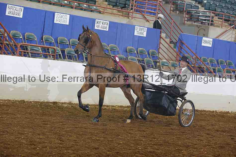Proof 13r12_1702