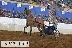 13r12_1702 proof