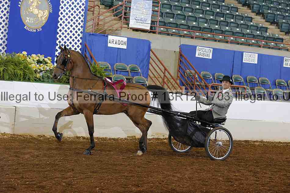 Proof 13r12_1703