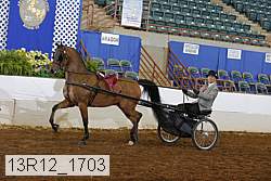 13r12_1703 proof