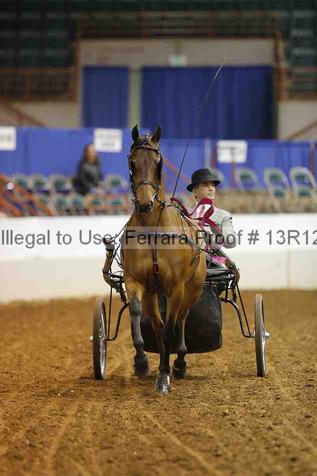 Proof 13r12_1704