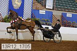13r12_1705 proof