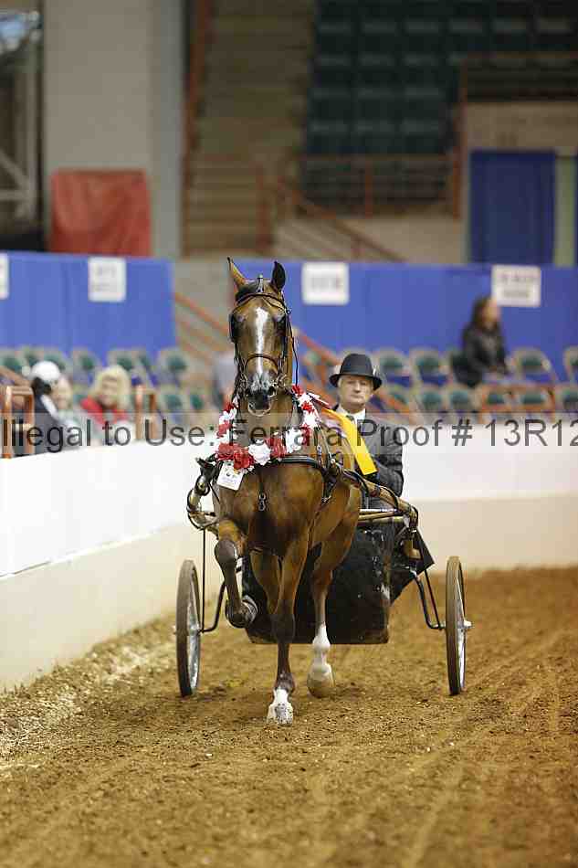Proof 13r12_1706