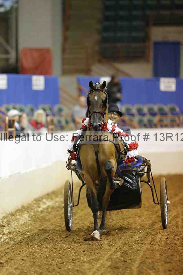 Proof 13r12_1712