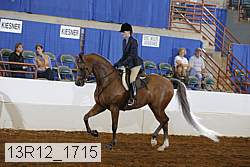 13r12_1715 proof