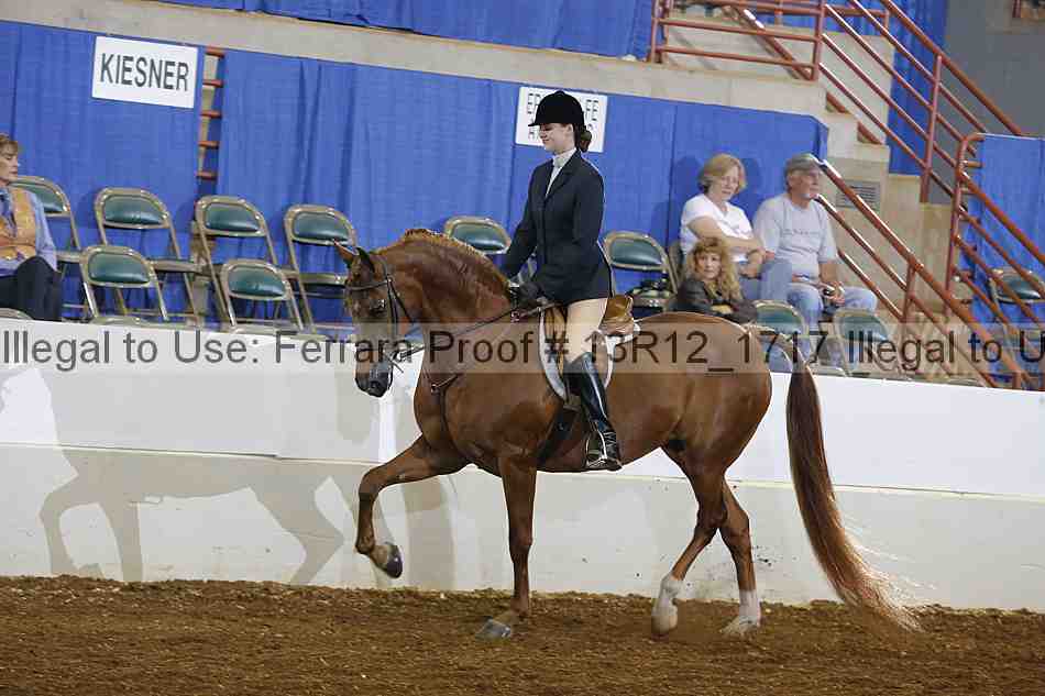 Proof 13r12_1717